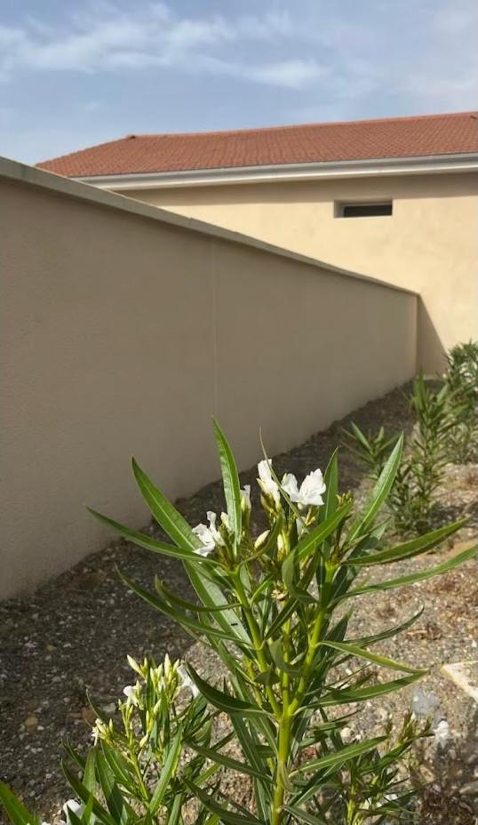 Gite1 Pour 6 Personnes Anneyron Exterior photo